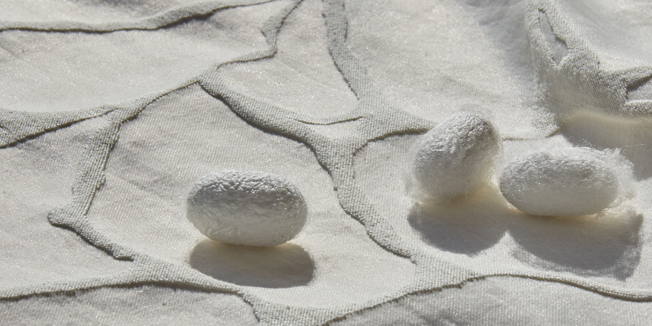 ほどいてむすぶ