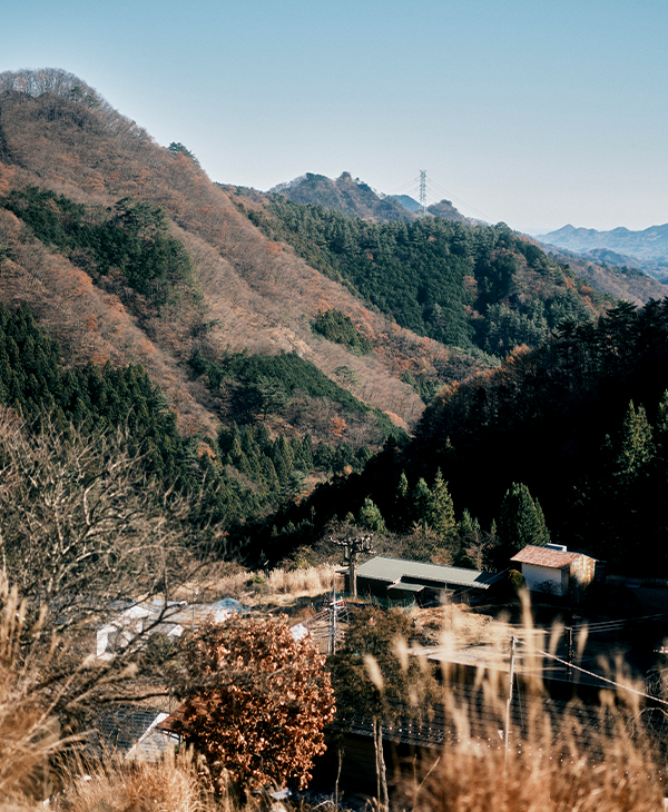 周辺の自然体験を思う存分体験