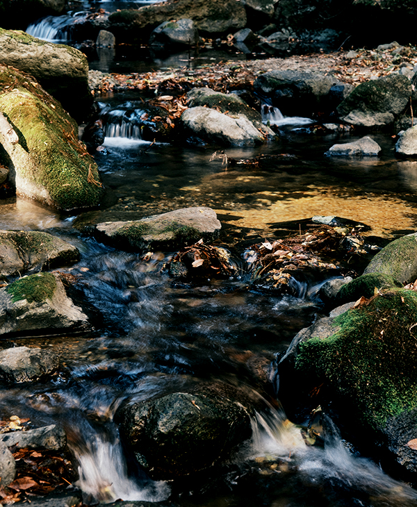 自然に触れるという貴重な体験で自然と家族も笑顔に