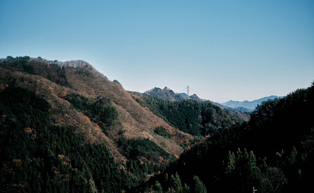 自然の中で家族と穏やかな時間を過ごす